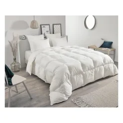 Toison d'Or Oreiller en plumettes et duvet (50x70 cm - Blanc) Hot