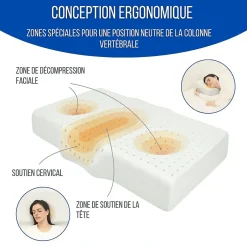 Inphysio Oreiller ergonomique anti-rides avec taie d'oreiller en soie - extra grande - 65x42x10 - ERGO Clearance