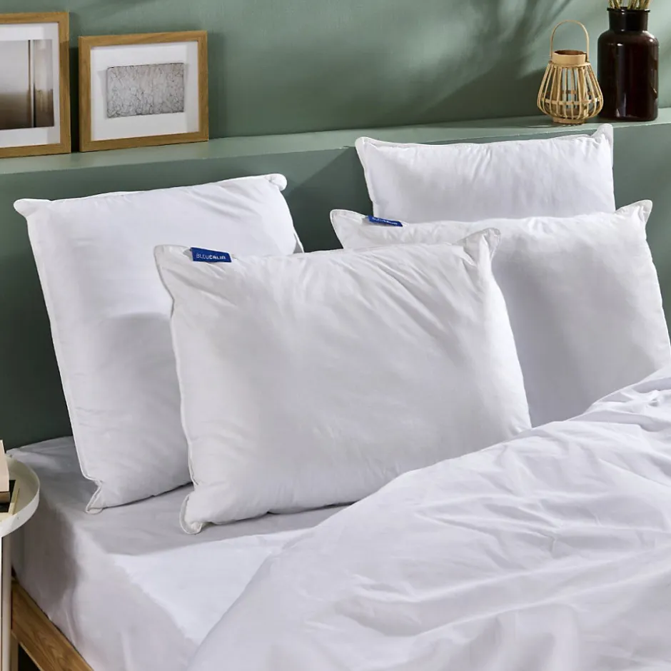 Bleu Calin Oreiller Ferme Gonflant 50x70cm