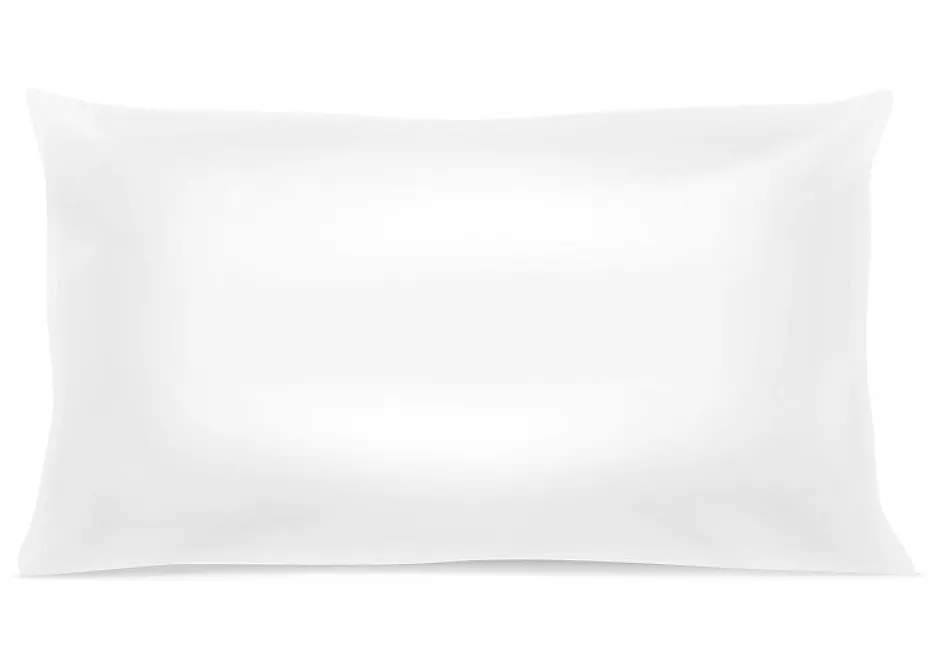 Mortreux Oreiller Moelleux Microfibre Anti Acariens - 50 x 70 - 31409 Best