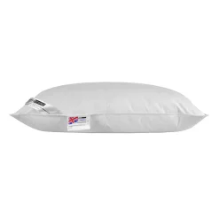 Homescapes Oreiller musical en plumes de canard ultra gonflant et moelleux 50 x 75 cm -