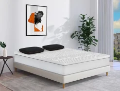 Vente-unique Oreiller respirant à mémoire de forme charbon - Déhoussable - 40 x 60 cm - Noir - BALDIA Discount