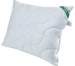 Senna Home Oreiller 70x70 BOTANICA ECO 1000g