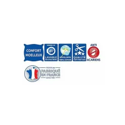 Bleu Calin Oreillers 60 x 60 cm Lot de 2 Anti acariens traité ESSENTIAL Best