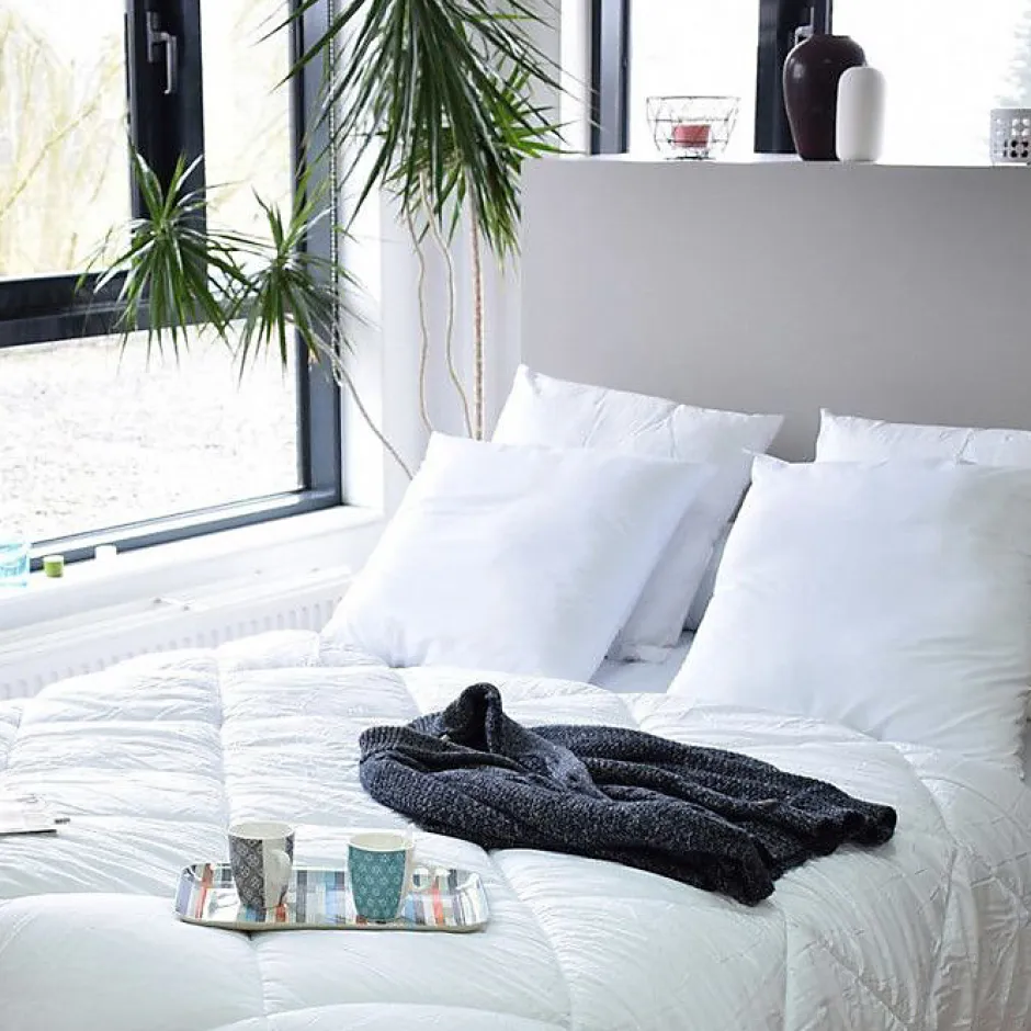 Bleu Calin Oreillers Topcool 60x60 Lot de 2 Blanc Discount
