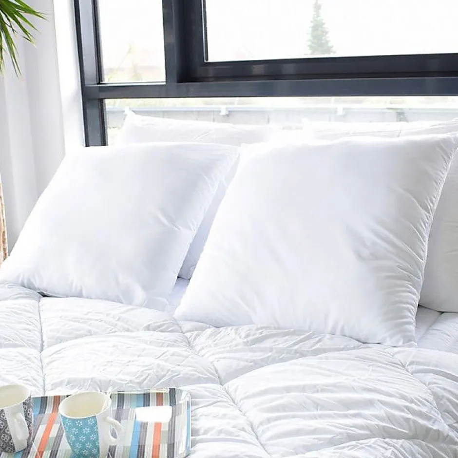Bleu Calin Oreillers Topcool 60x60 Lot de 2 Blanc Discount