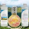 Mamamanuela Pack économique Lampe Catalytique Mosaïque Bicolore + Parfum Provence Breeze (500 ml) + Nettoyant Neutre (200 ml) + Mèche Rechange