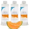 Mamamanuela Pack économique 3x Parfum pour lampe catalytique 500 ml : Arôme Waikiki Melon - Profitez plus longtemps de votre parfum préféré