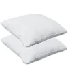 Herzberg Pack De 2 Oreillers À Mémoire De Forme Viscoélastique 60x50cm HG65X2