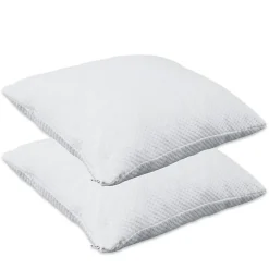 Herzberg Pack De 2 Oreillers À Mémoire De Forme Viscoélastique 60x50cm HG65X2