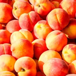 Mamamanuela Parfum Peach Velvet pour lampe catalytique (500 ml) - Élimine les mauvaises odeurs, parfume et nettoie l'environnement Discount
