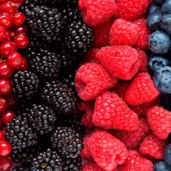 Mamamanuela Parfum Summer Fruits pour lampe catalytique (500 ml) - Élimine les mauvaises odeurs, parfume et nettoie l'environnement