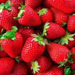 Mamamanuela Parfum Wild Strawberry pour lampe catalytique (500 ml) - Élimine les mauvaises odeurs, parfume et nettoie l'environnement