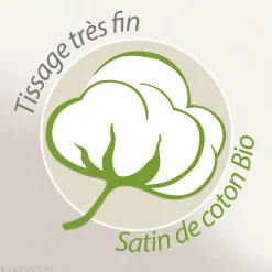 Linnea Parure de lit 240x220 cm Satin de coton WAYAN Vert 3 pièces