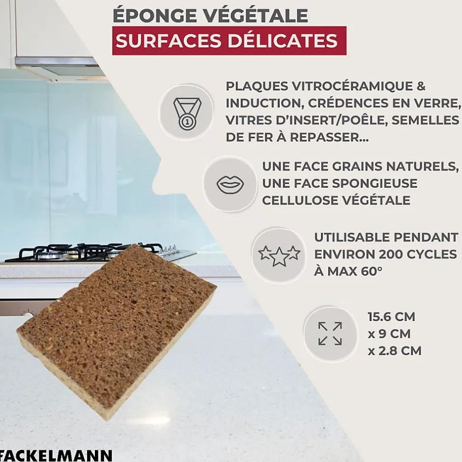 Éponge Végétale Multi-Surfaces fragiles Fackelmann Tecno Best