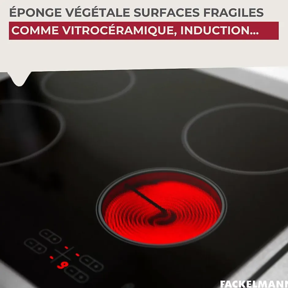 Éponge Végétale Multi-Surfaces fragiles Fackelmann Tecno Best