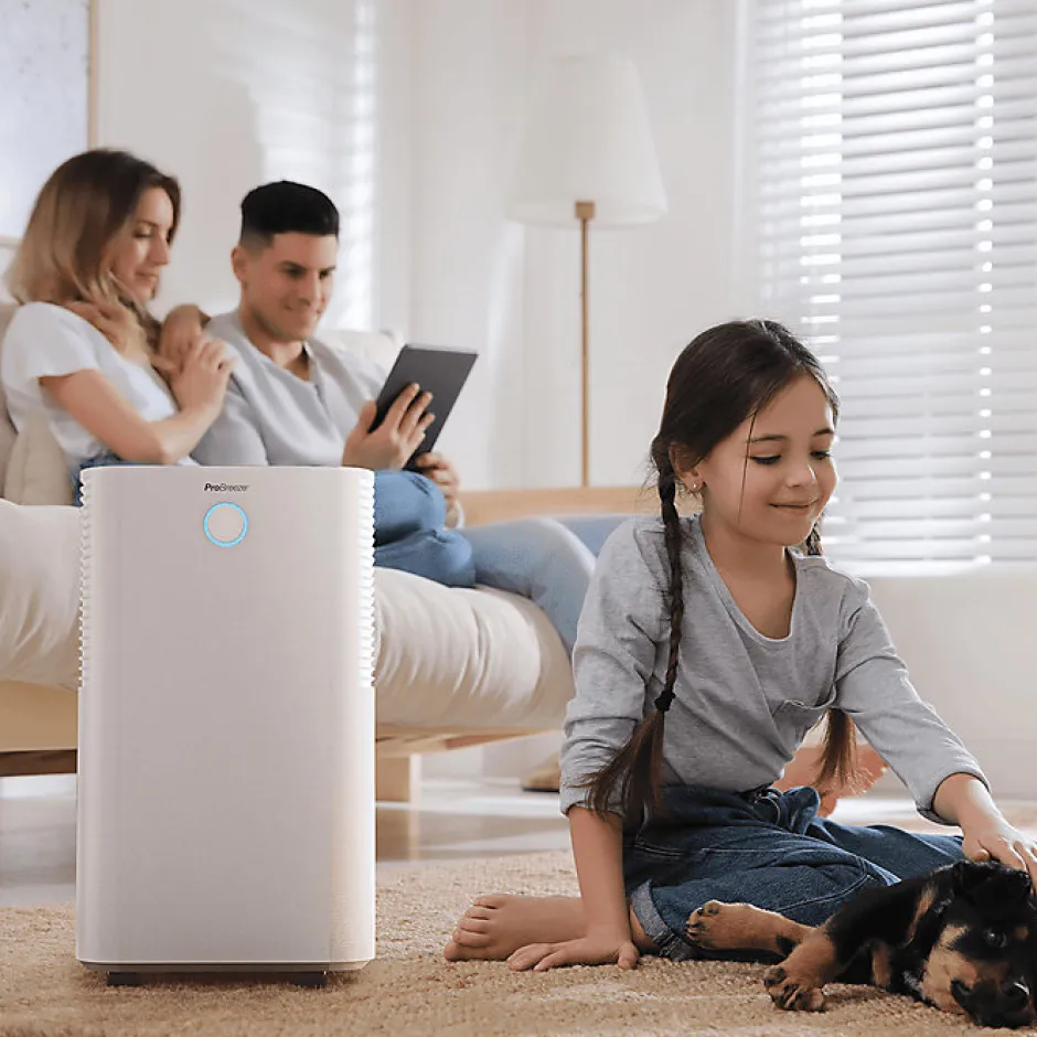 Pro Breeze Déshumidificateur compresseur 12 ljour avec capteur d'humidité auto, séchage du linge
