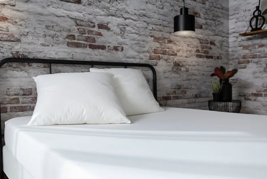 Abeil Protège-matelas Anti-bactériens Biome 160 x 200 cm