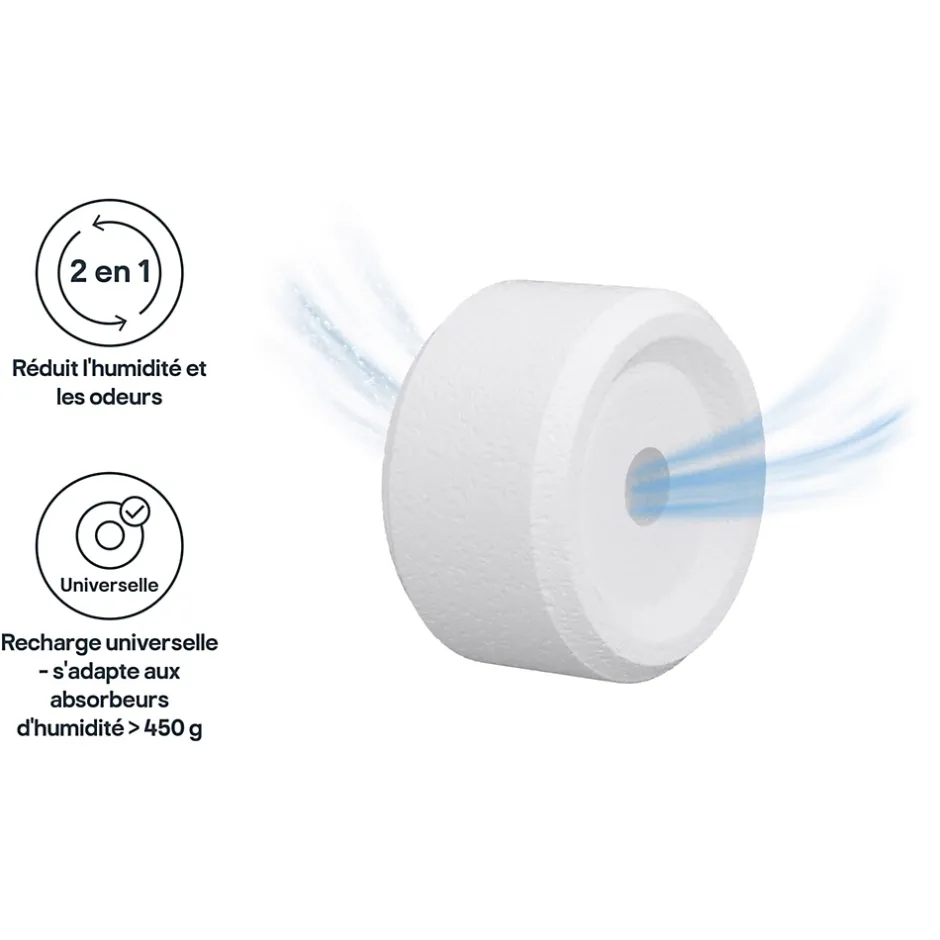 GoodHome Recharge pour absorbeur d'humidité 2 galets neutre 20m² 450g Outlet