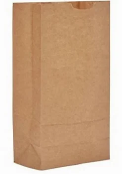 Verve Sac à végétaux extérieur marron 100L