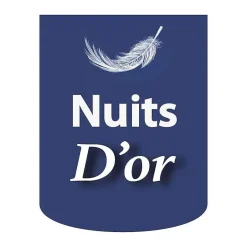 Nuits D'Or Sommier Tapissier Déhoussable 200x200 cm - 20 cm - 13 Lattes - Housse Lavable - Montage Rapide et Facile - Confort Optimal - SOMMI Clearance
