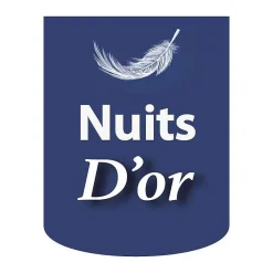 Nuits D'Or sommier tapissier 160x200 cm - 20 cm - 13 lattes - montage rapide et facile - revêtement facile d'entretien - SOMMIER GREGORY MARR