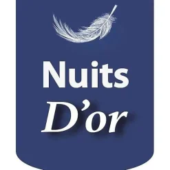 Nuits D'Or Sommier 90x190 cm - déhoussable - pieds 20 cm - 13 lattes - soutien ferme - confort - usage quotidien - blanc