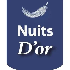 Nuits D'Or Sommier 160x200 cm - tapissier - déhoussable - housse lavable gris - pieds 20 cm - 2 x 13 lattes - soutien ferme - confort - Best