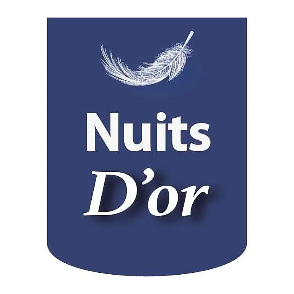 Nuits D'Or Sommier 90x200 cm Tapissier Déhoussable - 20 cm - 13 Lattes - Montage Rapide et Facile - Housse Lavable - Confort Optimal - Opale Clearance
