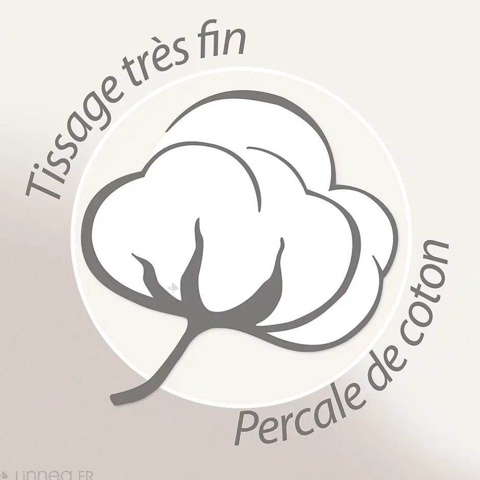 Linnea Taie d'oreiller 65x65 cm en 100% percale de coton MODULO blanc acajou Online