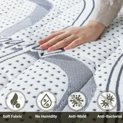 The White Stone Matelas Orthopédique 75x170 cm Fermeté Moyenne