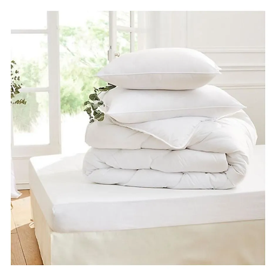 Toison d'Or - Oreiller - Eole - Confort souple - 60x60cm - Blanc