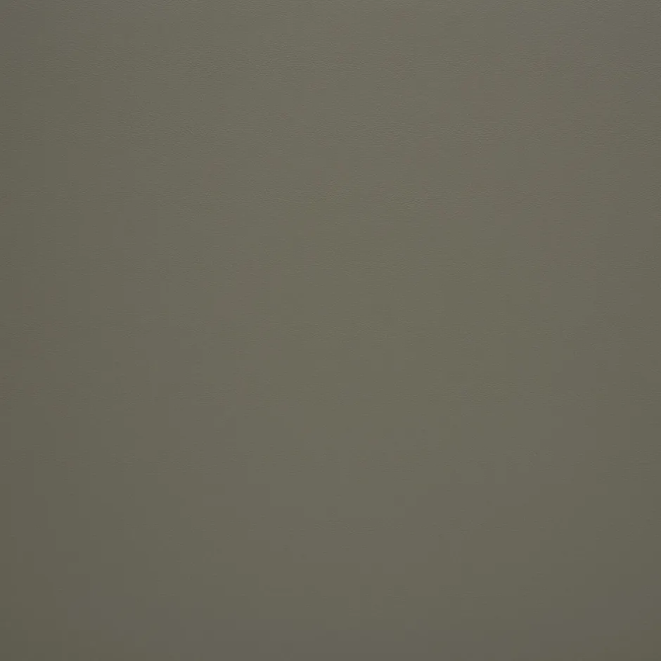 Idimex Tête de lit NAOFE 120 avec fixation murale - Gris