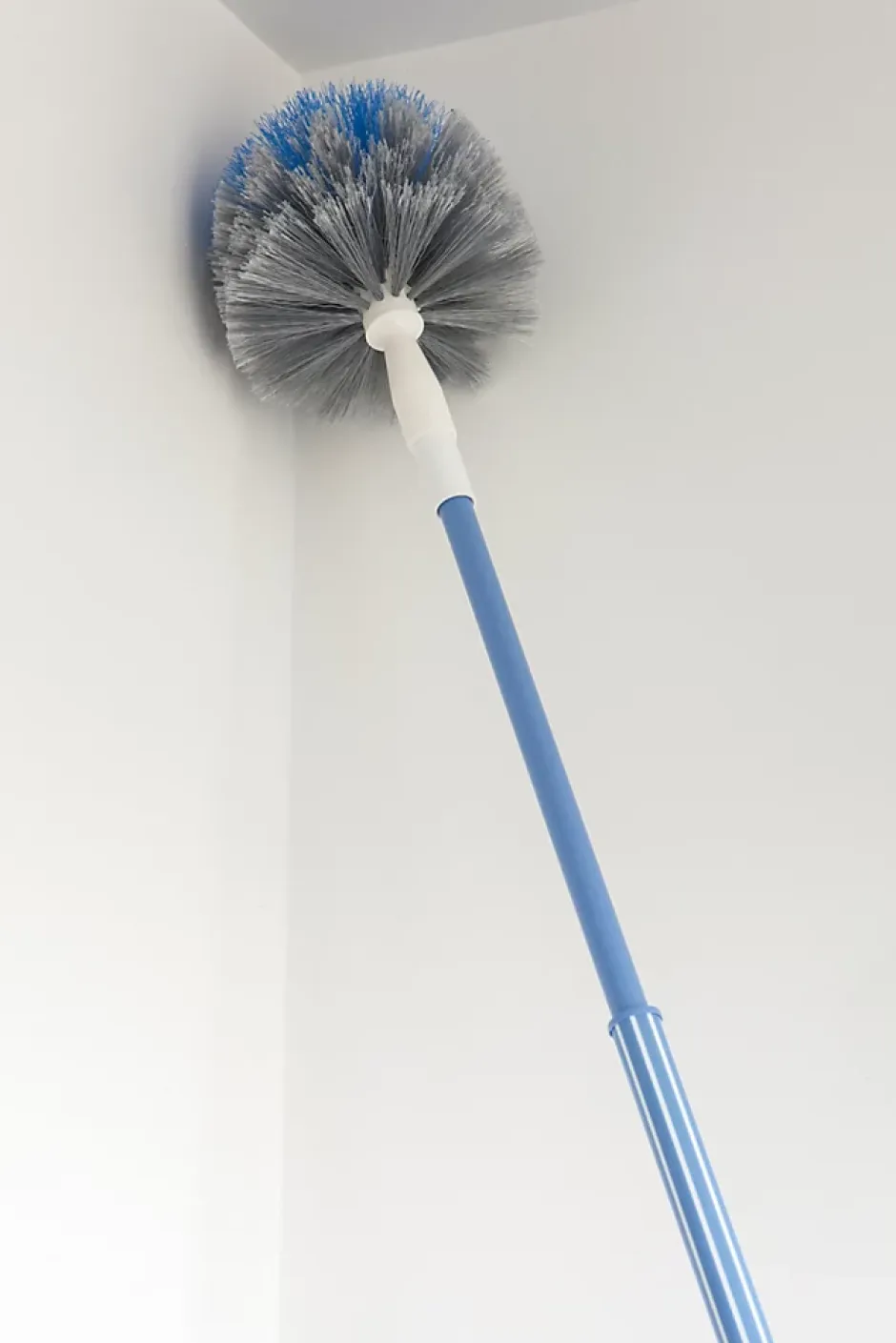 Elephant Tête de loup avec manche 180 cm Discount